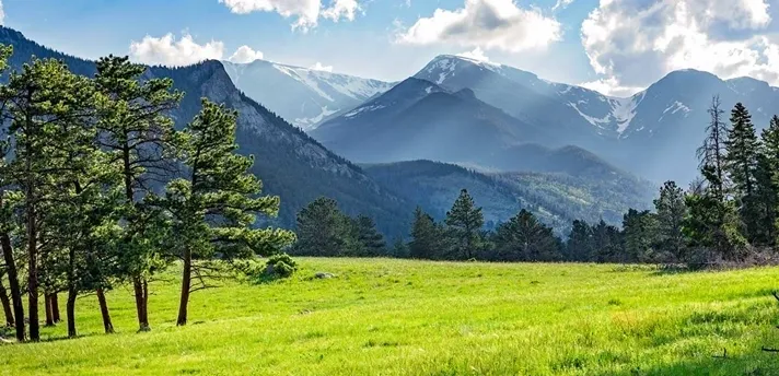 A green field with trees and mountains in the background